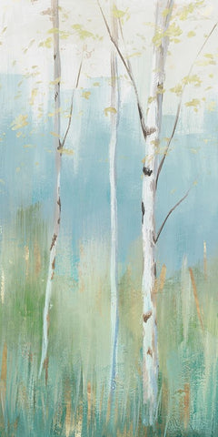 Birch Harmonies I White Modern Wood Framed Art Print with Double Matting by Ian C