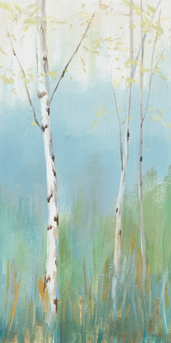 Birch Harmonies II Black Modern Wood Framed Art Print by Ian C