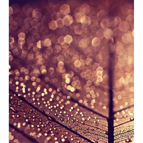 Gold Black Modern Wood Framed Art Print with Double Matting by Beddoes, Ingrid