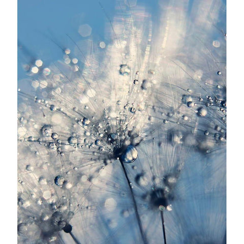Summer Blue White Modern Wood Framed Art Print by Beddoes, Ingrid