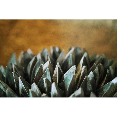 Seeding White Modern Wood Framed Art Print by Valner, Jessica