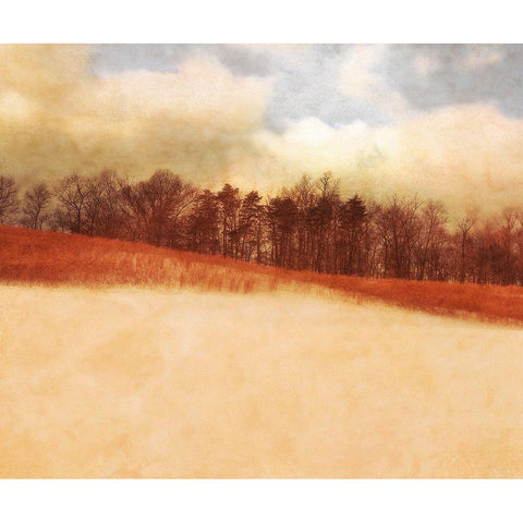 Marvel Landscape Black Modern Wood Framed Art Print with Double Matting by Valner, Jessica