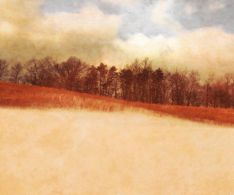 Marvel Landscape White Modern Wood Framed Art Print with Double Matting by Valner, Jessica