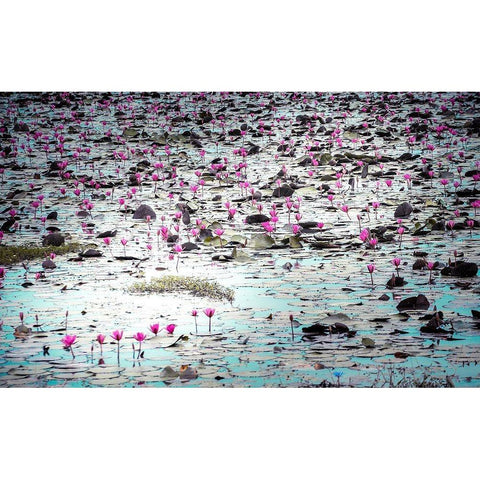 Flowers in the Creek Black Modern Wood Framed Art Print by Valner, Jessica