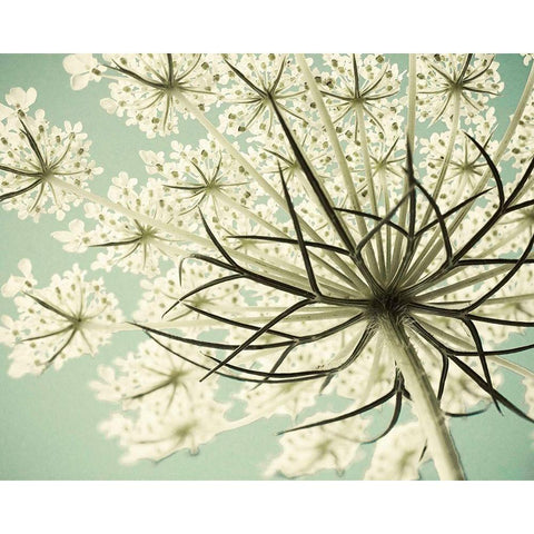 Sky Lace White Modern Wood Framed Art Print by Stalus, Judy