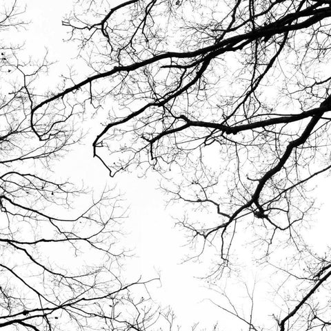 Billows III Black Modern Wood Framed Art Print by Stalus, Judy