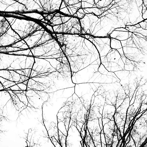 Billows IV Black Modern Wood Framed Art Print by Stalus, Judy