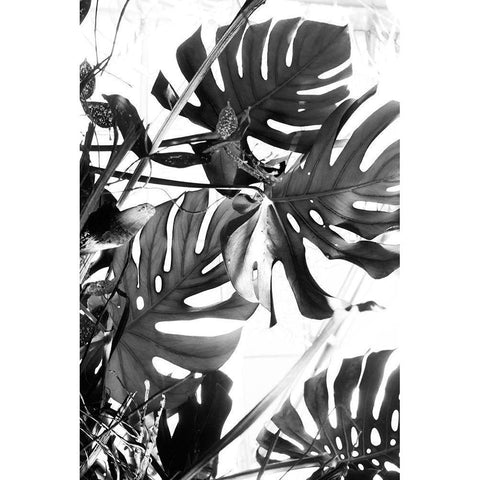 Tropical Leaves IIIÂ  Gold Ornate Wood Framed Art Print with Double Matting by Stalus, Judy