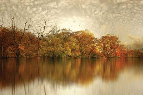 Floating Foliage White Modern Wood Framed Art Print with Double Matting by Jenney, Jessica