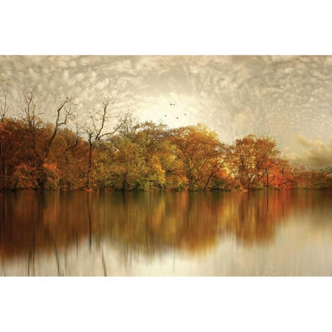Floating Foliage Black Modern Wood Framed Art Print by Jenney, Jessica