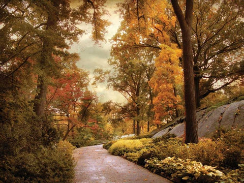 Azalea Garden in Autumn White Modern Wood Framed Art Print with Double Matting by Jenney, Jessica