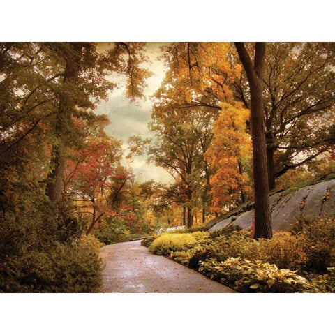 Azalea Garden in Autumn White Modern Wood Framed Art Print by Jenney, Jessica