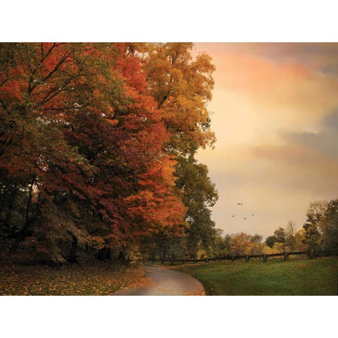 Turning Black Modern Wood Framed Art Print with Double Matting by Jenney, Jessica