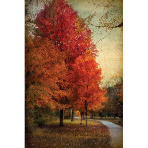 Among the Maples Black Modern Wood Framed Art Print with Double Matting by Jenney, Jessica