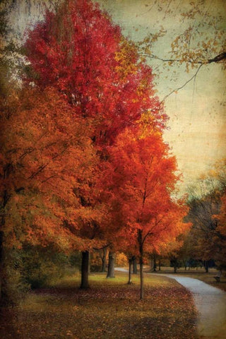 Among the Maples Black Ornate Wood Framed Art Print with Double Matting by Jenney, Jessica