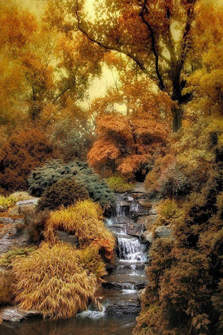 Japanese Rock Garden White Modern Wood Framed Art Print with Double Matting by Jenney, Jessica