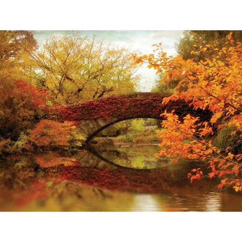 Gapstow Glory White Modern Wood Framed Art Print by Jenney, Jessica