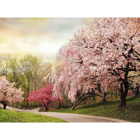 Asian Cherry Grove Gold Ornate Wood Framed Art Print with Double Matting by Jenney, Jessica
