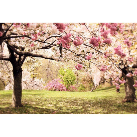 Cherry Hill White Modern Wood Framed Art Print by Jenney, Jessica