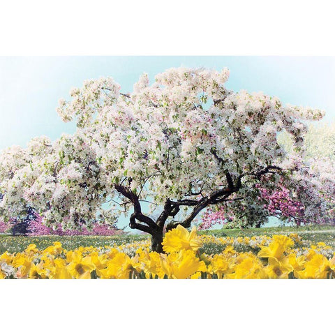Pastel Park Gold Ornate Wood Framed Art Print with Double Matting by Jenney, Jessica