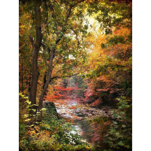 Stream of Consciousness White Modern Wood Framed Art Print by Jenney, Jessica