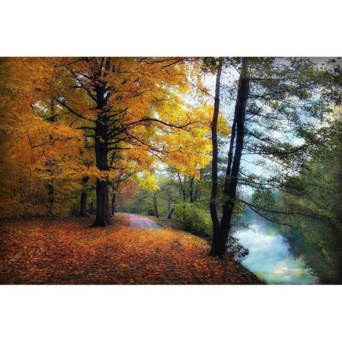 Autumn River View White Modern Wood Framed Art Print by Jenney, Jessica