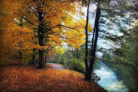Autumn River View White Modern Wood Framed Art Print with Double Matting by Jenney, Jessica