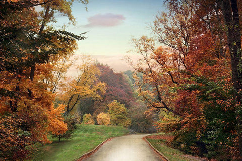 Country Road Black Ornate Wood Framed Art Print with Double Matting by Jenney, Jessica