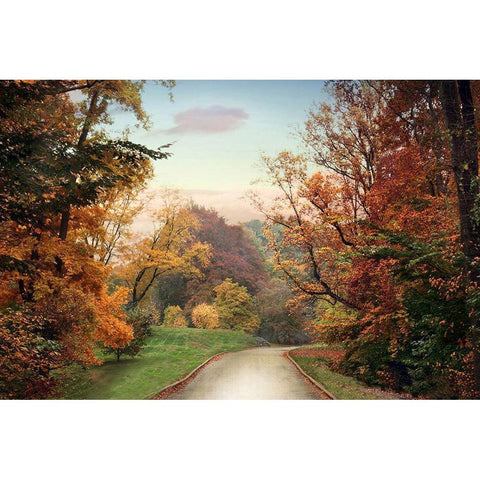 Country Road Gold Ornate Wood Framed Art Print with Double Matting by Jenney, Jessica