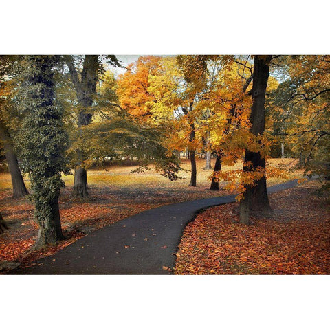 Entrance to Autumn Black Modern Wood Framed Art Print with Double Matting by Jenney, Jessica