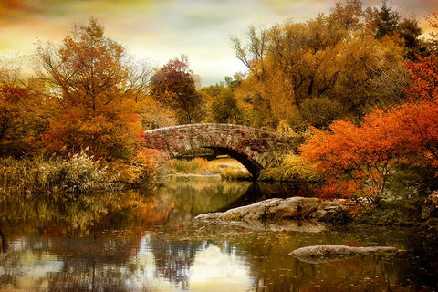 Autumn Epilogue Black Modern Wood Framed Art Print by Jenney, Jessica