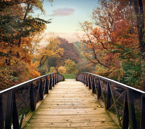 Autumn Encounter Black Modern Wood Framed Art Print by Jenney, Jessica