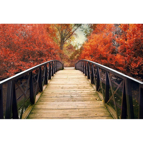 Ardent Autumn  White Modern Wood Framed Art Print by Jenney, Jessica