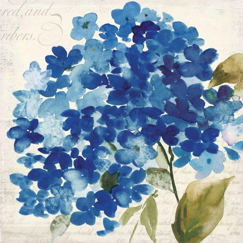 Hampton Hydrangea II White Modern Wood Framed Art Print by Jensen, Asia