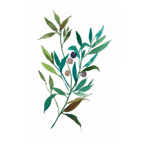 Olive I Black Modern Wood Framed Art Print with Double Matting by Jensen, Asia