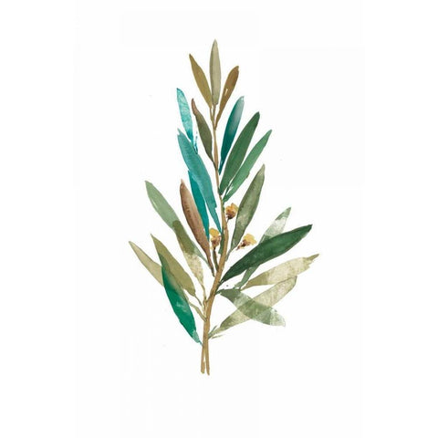 Olive III Black Modern Wood Framed Art Print with Double Matting by Jensen, Asia