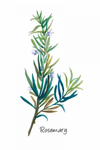 Rosemary I White Modern Wood Framed Art Print with Double Matting by Jensen, Asia