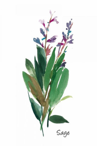 Sage I  White Modern Wood Framed Art Print with Double Matting by Jensen, Asia