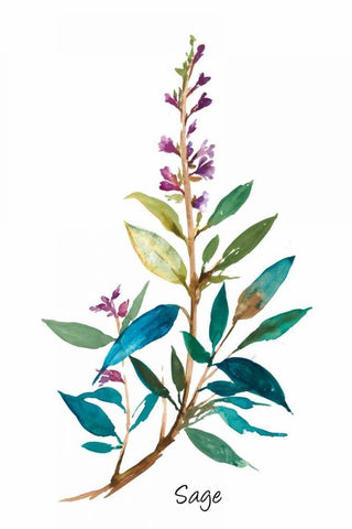 Sage II White Modern Wood Framed Art Print with Double Matting by Jensen, Asia