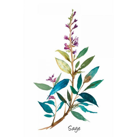 Sage II Black Modern Wood Framed Art Print by Jensen, Asia