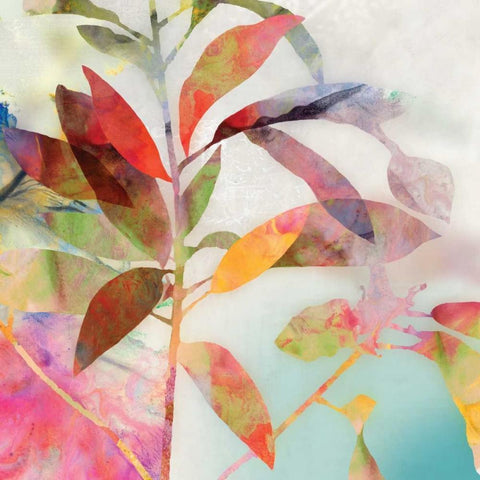 Charlotte I Black Modern Wood Framed Art Print with Double Matting by Jensen, Asia