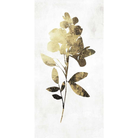 Gold Botanical I Black Modern Wood Framed Art Print with Double Matting by Jensen, Asia