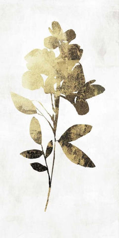 Gold Botanical I Black Ornate Wood Framed Art Print with Double Matting by Jensen, Asia