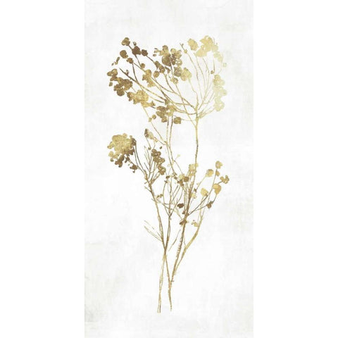 Gold Botanical II White Modern Wood Framed Art Print by Jensen, Asia
