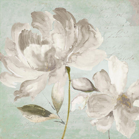 Candy I Black Modern Wood Framed Art Print by Jensen, Asia