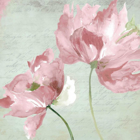 Candy II Black Ornate Wood Framed Art Print with Double Matting by Jensen, Asia