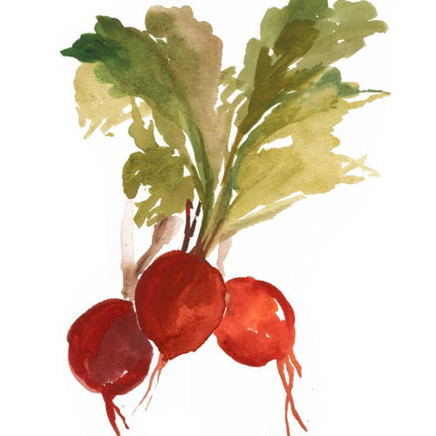 Radish White Modern Wood Framed Art Print by Jensen, Asia