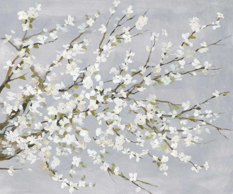 White Blossoms White Modern Wood Framed Art Print with Double Matting by Jensen, Asia