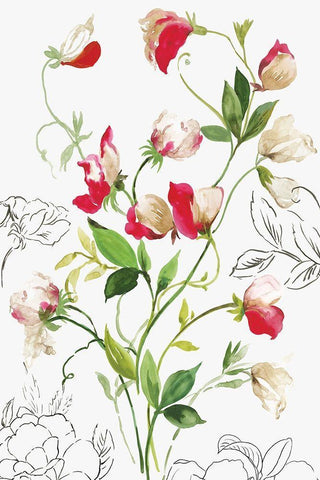 Florecer II White Modern Wood Framed Art Print with Double Matting by Jensen, Asia