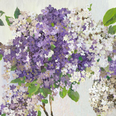 Summer Hydrangea II  Black Modern Wood Framed Art Print with Double Matting by Jensen, Asia